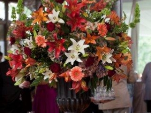 Annie and Campbell's Wedding