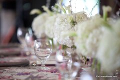 Bryn & Nate's Wedding