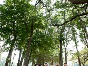 Bryn Nate Wedding