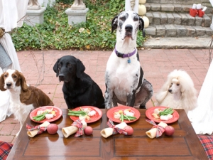 DogParties