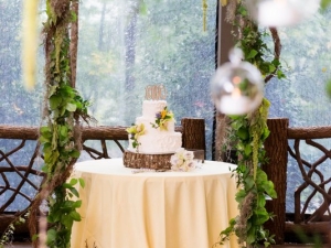 vineyard-mountain-destination-wedding-451