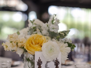 Lauren and Josh's Wedding