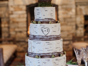 Lauren and Josh's Wedding