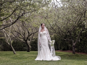 Lauren and Josh's Wedding