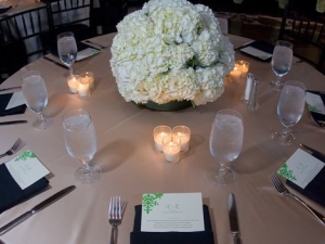 Lindsey and Zachary Wedding