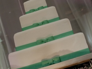 Lindsey and Zachary Wedding