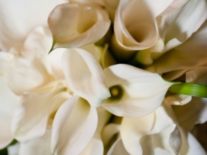 Lindsey and Zachary Wedding