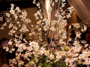 Lindsey and Zachary Wedding