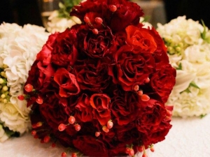 Trisha and Allan's Wedding